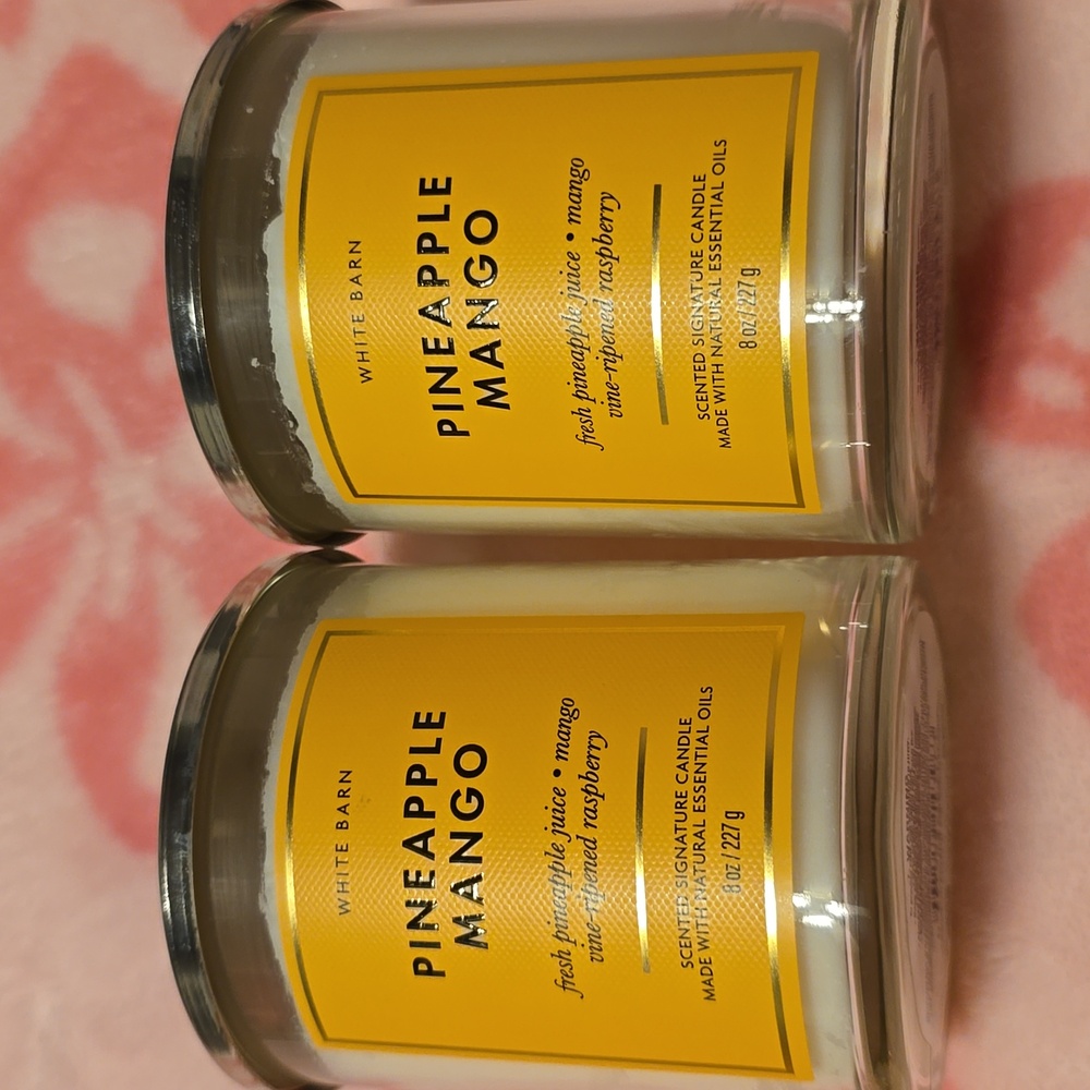 2 BNWT Bath and Body Works Pinapple Mango single wick candles